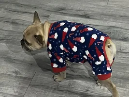 Rusty in his winter clothes