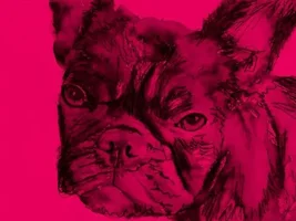 Beautiful French bulldog paintings by my buddy Oscar