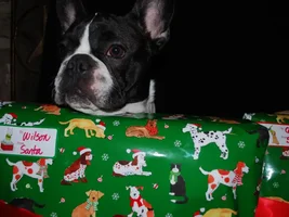 4 Paw Secret Santa Sharing Thread 2014
