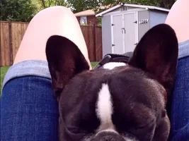 Walking on top of you