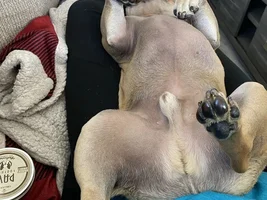 Nail trimming