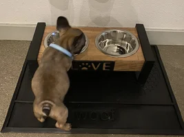 10 week old puppy with thin/coarse, patchy coat