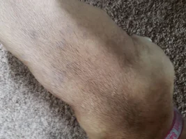 Spots suddenly developing