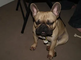 Winston Caption this :)