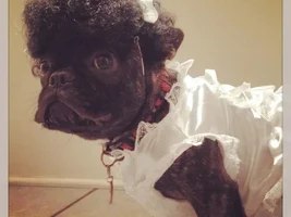 Halloween Costumes 2014