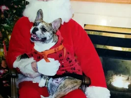 Ruggles & Buster Convince Santa They Have Been Good Boys!