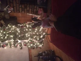 Let's see that tree!