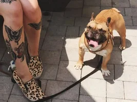 ~ENTER HERE~ *SMILING FRENCHIES* April Frenchie of the Month!