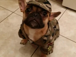 Halloween Costumes 2014