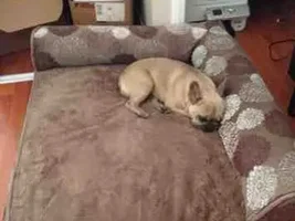 What's wrong with these two?