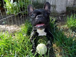 Say Hi to Cali!