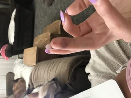 My frenchie attacked me!