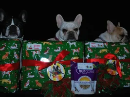 4 Paw Secret Santa Sharing Thread 2014