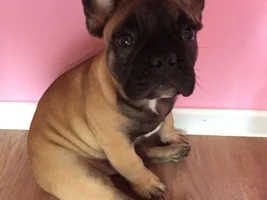Hello, Hello, Hello! So Happy To Be Here!