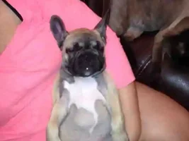 Sleeping positions........