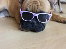 Hello everyone- from South Africa