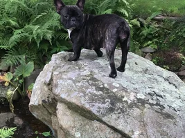 New to this forum