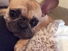 Welcome Fiona!