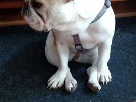 Sitting Style