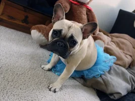 Baby Bisou isn't a baby anymore...