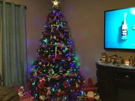 Let's see that tree!