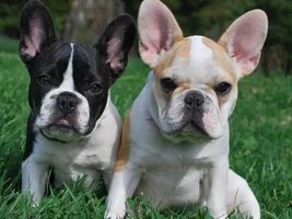Almost 5 months ~ Olivia & Wilson