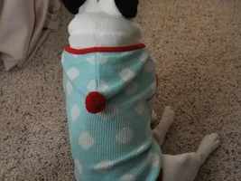 ~ ENTER HERE ~ November Frenchie of the Month ~ Turkey Leg Contest!