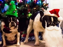 Merry Christmas from Santa Wally