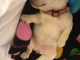 Sleeping positions........