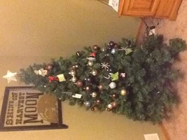 Let's see that tree!