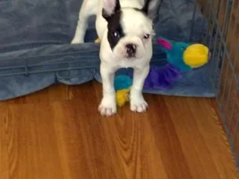 Cortana is home now!