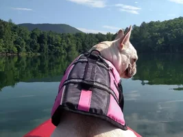 Kayaking adventures