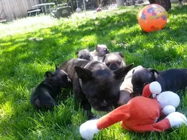 More pic of the family first time out I wish I can just posted the video