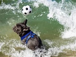 Labor Day weekend = Beach time!!!