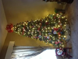 Let's see that tree!