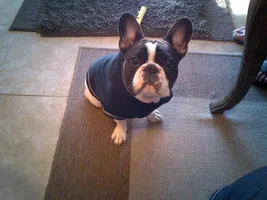 Q-Roux wearing a jacket in Arizona... summer.
