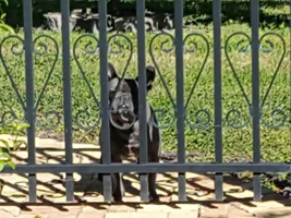 Can I come too?