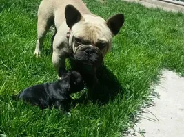 More pic of the family first time out I wish I can just posted the video