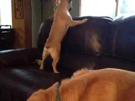 No place is out of reach for Marg now!