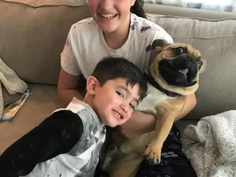 ~ENTER HERE~ May Frenchie of the Month Contest "Frenchies with Children"