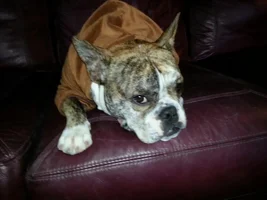 Three Years Ago Today Buster Came Into This World...