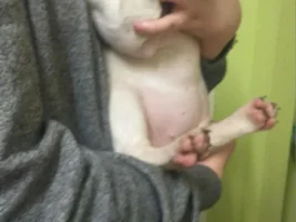 Newbie needs help