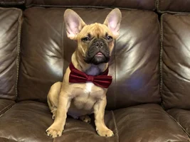 Milo