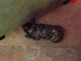 Cheli hanging out