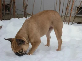 Snow Day!