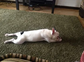 Such a Hard Life