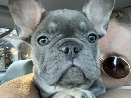 New Mom here!