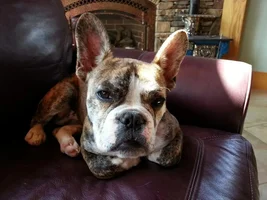 Buster Is Getting His Big Boy Teeth