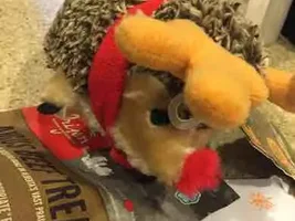 2015 Secret Santa Paws Sharing Thread