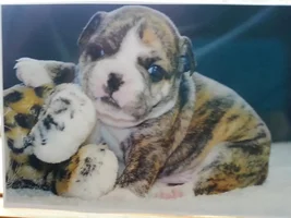 Three Years Ago Today Buster Came Into This World...
